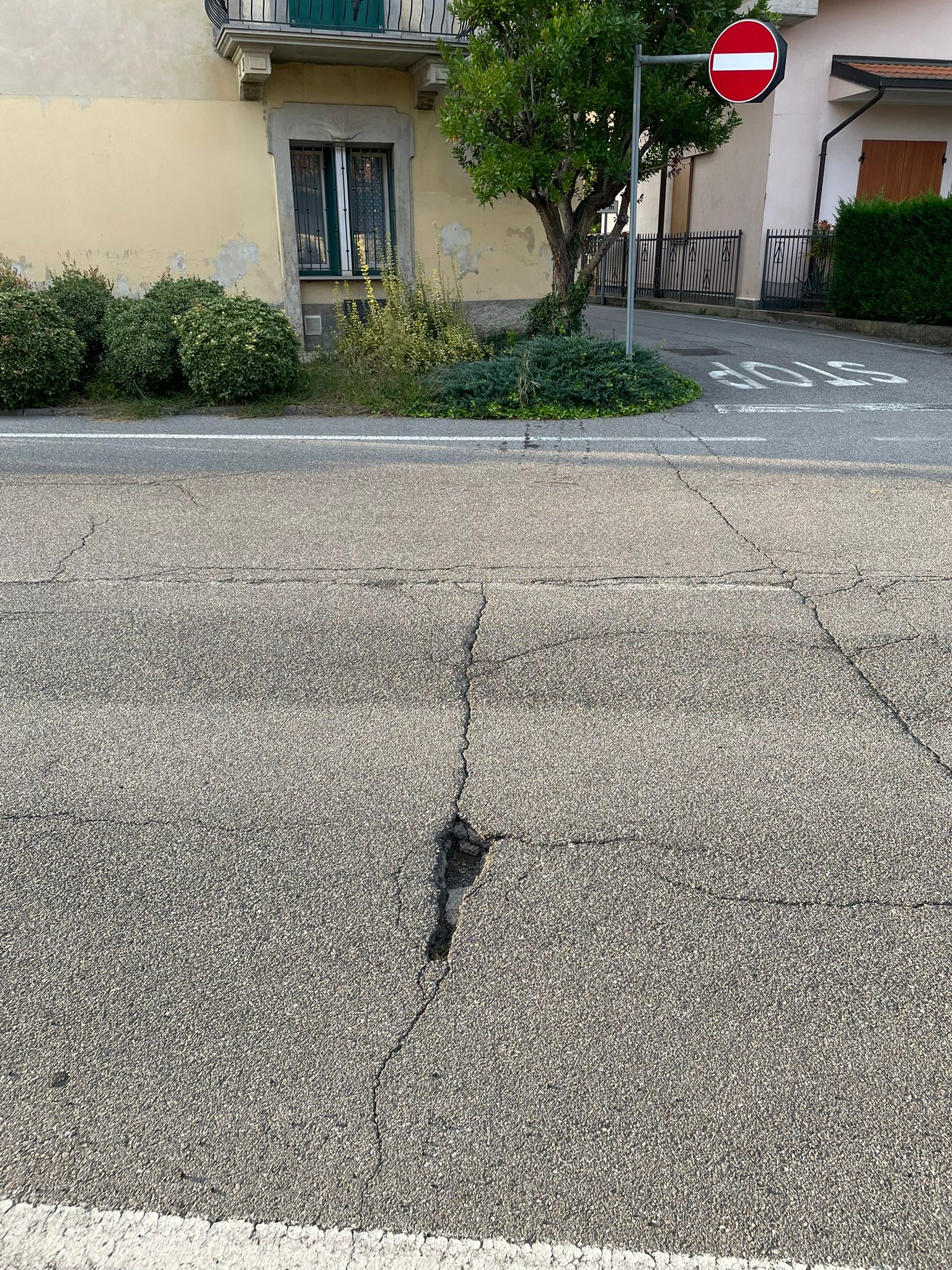 Immagine della segnalazione